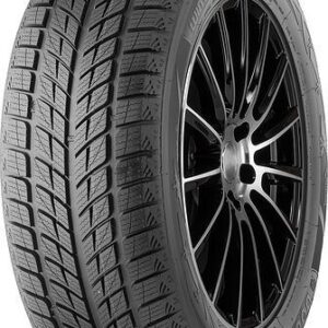 225/45 r18 dw09 [95] t xl