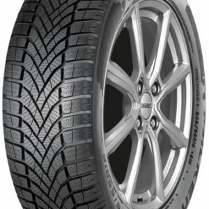 205/60 r16 eurowinter hs02 [96] h xl