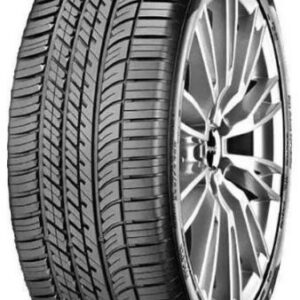 ggol19023555wf1a3